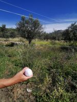 Φεστιβάλ Αθηνών Επιδαύρου: Αιμιλία Παπαφιλίππου ΙΕΡΟΙ ΛΟΓΟΙ / COVID-19