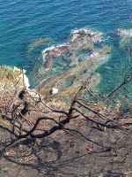 Το Μέγαρο Μουσικής στη Βόρεια Εύβοια