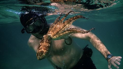 22ο Φεστιβάλ Ντοκιμαντέρ Θεσσαλονίκης: Έναρξη με Ανθρωπόκαινο