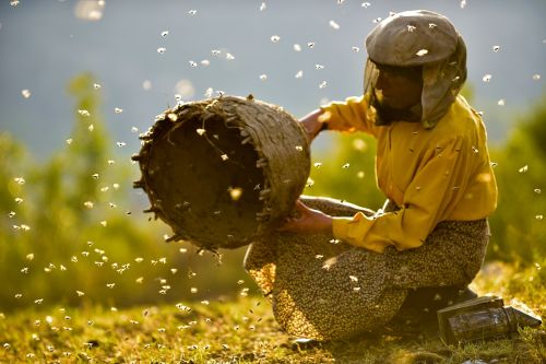 Honeyland – Στη Γη του Άγριου Μελιού